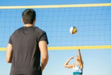 network activity summary report