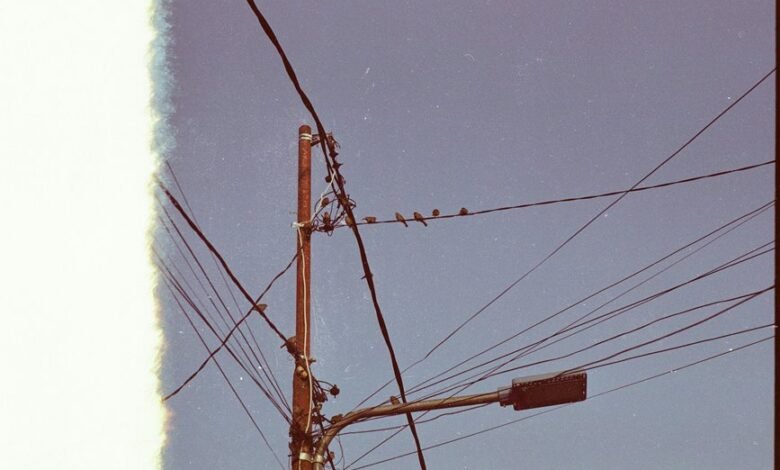 support network overview summary