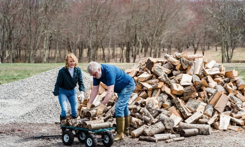 system activity log details