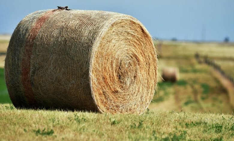 apex beam expansion node