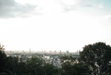 unique horizon conversion advantage